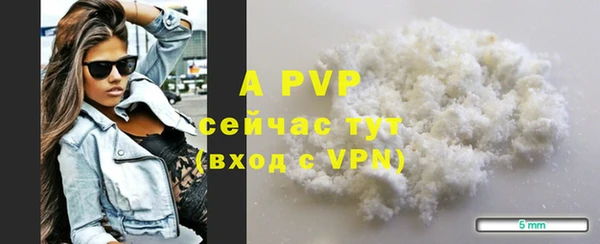 мдпв Краснослободск