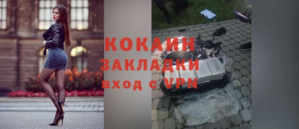 прущие грибы Кулебаки