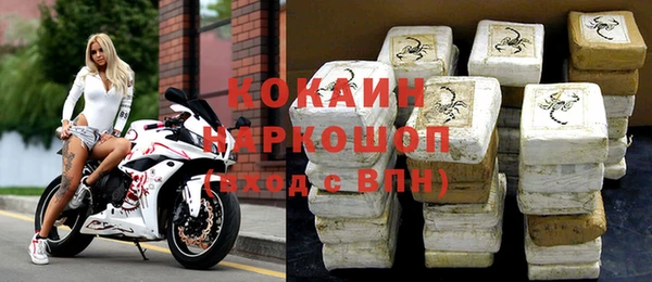 мдпв Краснослободск