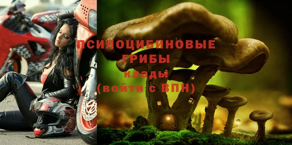 мдпв Краснослободск