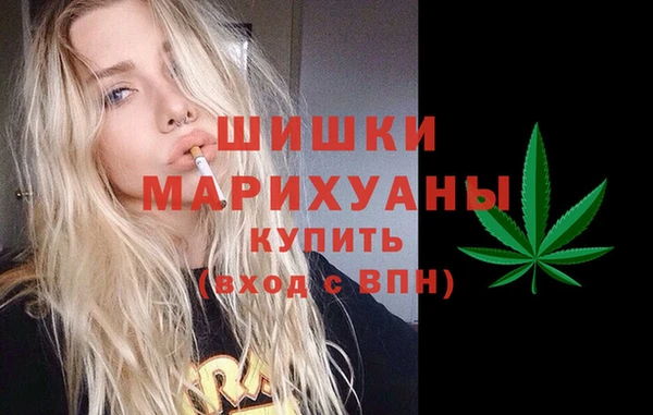 мдпв Краснослободск