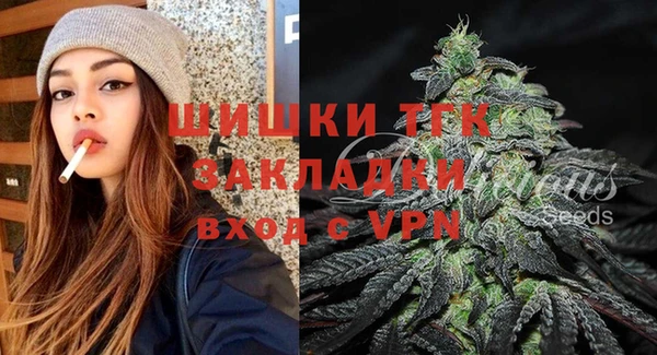 мдпв Краснослободск