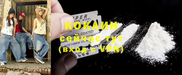 прущие грибы Кулебаки