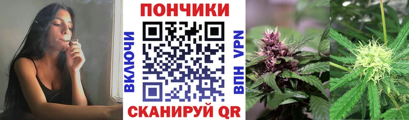 Бошки марихуана сатива  купить наркоту  Льгов 