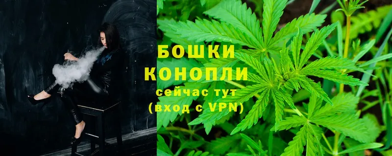 Марихуана OG Kush  Льгов 